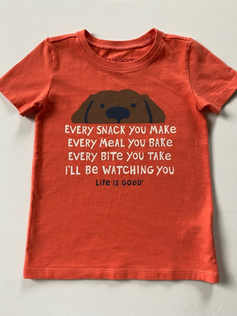 Life is Good Crusher Tee Shirt Size 4T Dog Chocolate Lab Orange Cotton Toddler